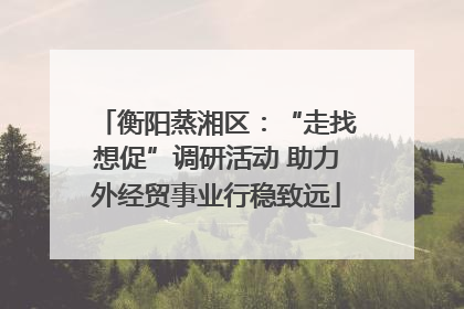 衡阳蒸湘区：“走找想促”调研活动 助力外经贸事业行稳致远