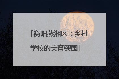 衡阳蒸湘区：乡村学校的美育突围