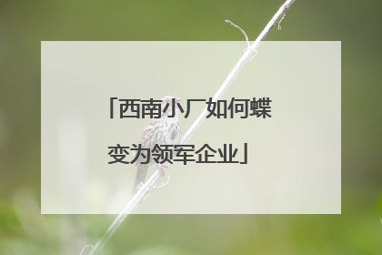 西南小厂如何蝶变为领军企业