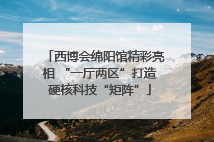 西博会绵阳馆精彩亮相 “一厅两区”打造硬核科技“矩阵”