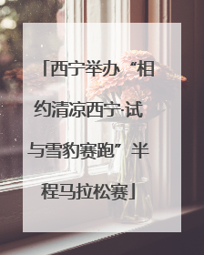 西宁举办“相约清凉西宁·试与雪豹赛跑”半程马拉松赛