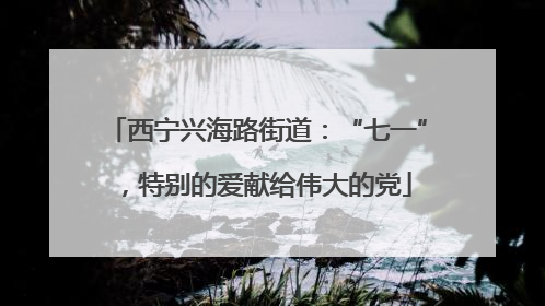 西宁兴海路街道：“七一”，特别的爱献给伟大的党