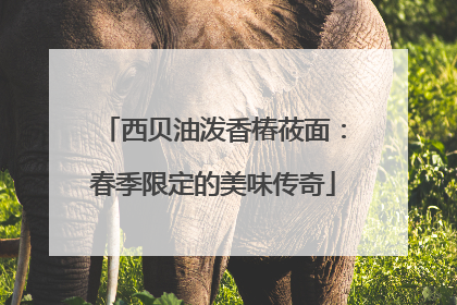 西贝油泼香椿莜面：春季限定的美味传奇