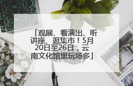 观展、看演出、听讲座、逛集市！5月20日至26日，云南文化馆里玩场多