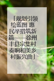 规划引领绘蓝图 惠民举措筑新篇——徐州丰县宗集村奏响和美乡村振兴曲