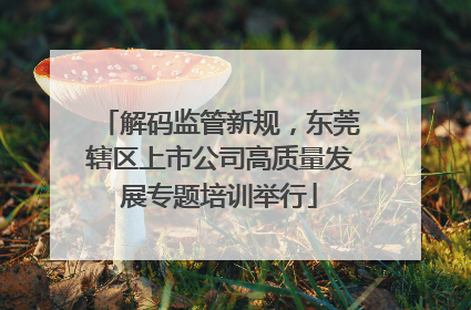 解码监管新规，东莞辖区上市公司高质量发展专题培训举行