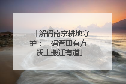 解码南京耕地守护：一码管田有方 沃土搬迁有道
