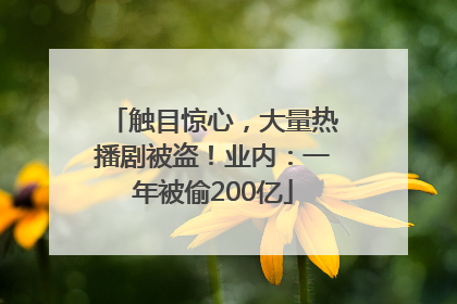 触目惊心，大量热播剧被盗！业内：一年被偷200亿