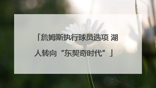 詹姆斯执行球员选项 湖人转向“东契奇时代”