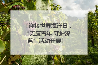 迎接世界海洋日，“无废青年 守护深蓝”活动开展