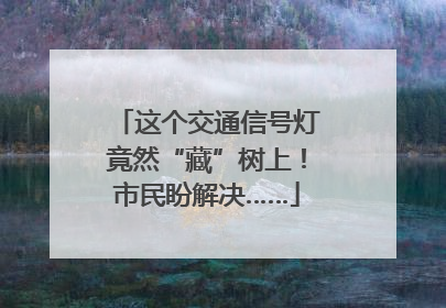 这个交通信号灯竟然“藏”树上！市民盼解决……