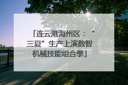 连云港海州区：“三夏”生产上演数智机械技能组合拳