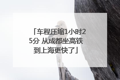车程压缩1小时25分 从成都坐高铁到上海更快了