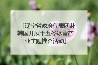 辽宁省政府代表团赴韩国开展十五冬冰雪产业主题推介活动