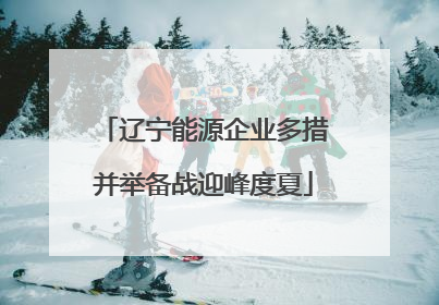 辽宁能源企业多措并举备战迎峰度夏