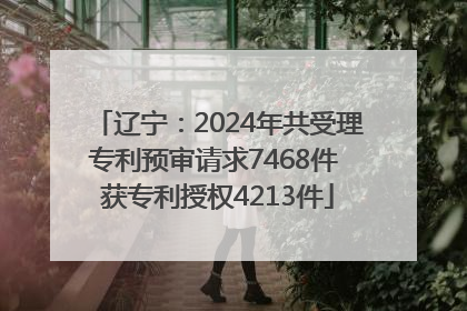 辽宁：2024年共受理专利预审请求7468件 获专利授权4213件