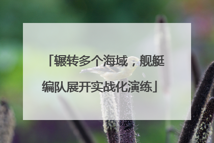 辗转多个海域，舰艇编队展开实战化演练