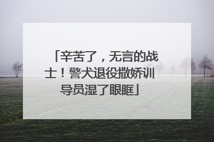 辛苦了，无言的战士！警犬退役撒娇训导员湿了眼眶