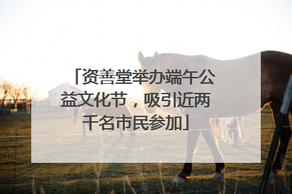 资善堂举办端午公益文化节，吸引近两千名市民参加