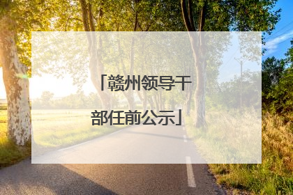 赣州领导干部任前公示