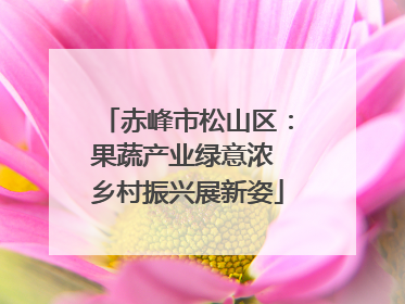赤峰市松山区：果蔬产业绿意浓 乡村振兴展新姿