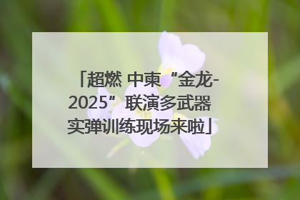 超燃 中柬“金龙-2025”联演多武器实弹训练现场来啦