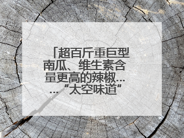超百斤重巨型南瓜、维生素含量更高的辣椒……“太空味道”在航天育种试验田里拔节生长