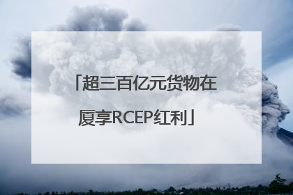 超三百亿元货物在厦享RCEP红利