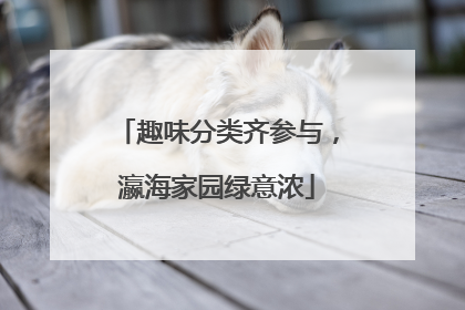 趣味分类齐参与，瀛海家园绿意浓