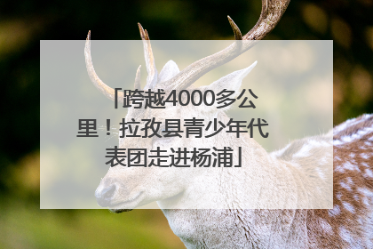 跨越4000多公里！拉孜县青少年代表团走进杨浦