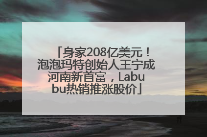 身家208亿美元！泡泡玛特创始人王宁成河南新首富，Labubu热销推涨股价