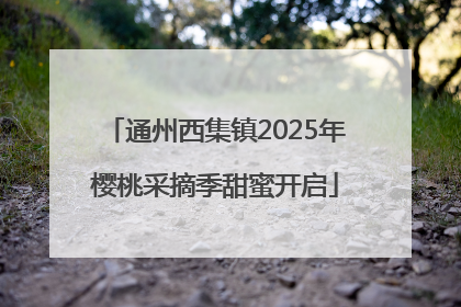 通州西集镇2025年樱桃采摘季甜蜜开启