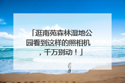 逛南苑森林湿地公园看到这样的照相机，千万别动！