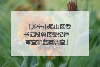 遂宁市船山区委书记段勇接受纪律审查和监察调查