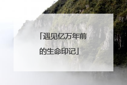遇见亿万年前的生命印记