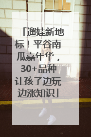 遛娃新地标！平谷南瓜嘉年华，30+品种让孩子边玩边涨知识