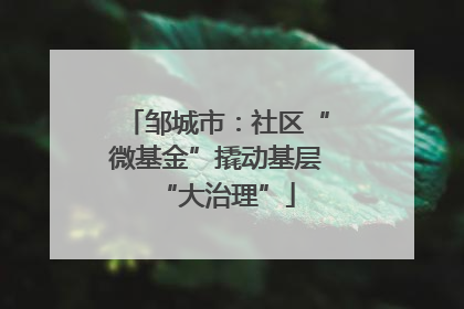邹城市：社区“微基金”撬动基层“大治理”