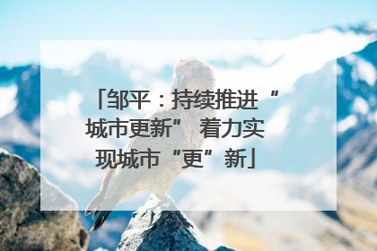 邹平：持续推进“城市更新” 着力实现城市“更”新