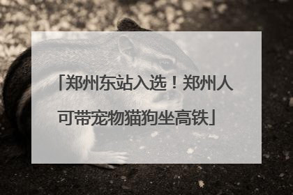 郑州东站入选！郑州人可带宠物猫狗坐高铁