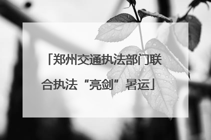 郑州交通执法部门联合执法“亮剑”暑运