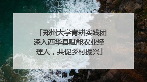 郑州大学青耕实践团深入西华县赋能农业经理人，共促乡村振兴
