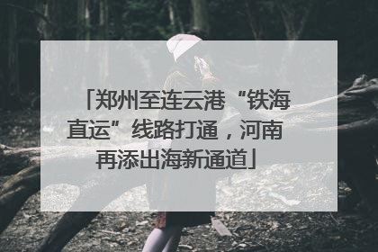 郑州至连云港“铁海直运”线路打通，河南再添出海新通道