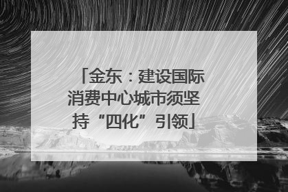 金东：建设国际消费中心城市须坚持“四化”引领