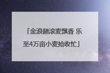金浪翻滚麦飘香 乐至4万亩小麦抢收忙