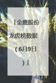 金鹰股份龙虎榜数据（6月9日）