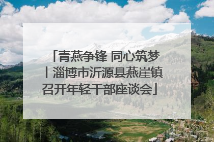 青燕争锋 同心筑梦丨淄博市沂源县燕崖镇召开年轻干部座谈会