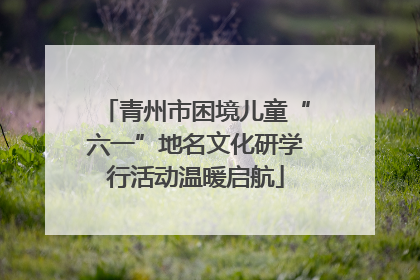 青州市困境儿童“六一”地名文化研学行活动温暖启航