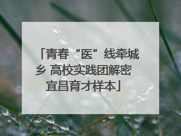 青春“医”线牵城乡 高校实践团解密宜昌育才样本