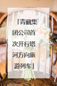 青藏集团公司首次开行塔河方向旅游列车