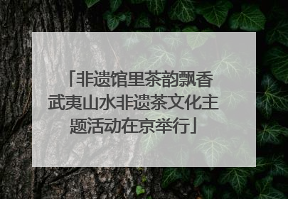 非遗馆里茶韵飘香 武夷山水非遗茶文化主题活动在京举行